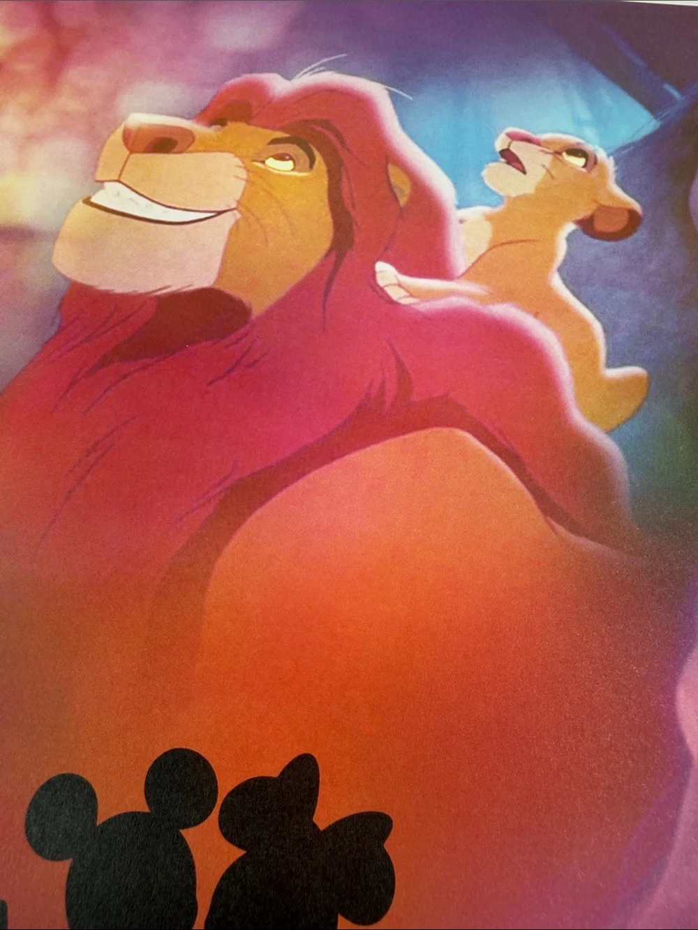 2023 Disney Animation Immersive Experience 17.5x11.25 Print VIP Package Print